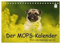 Produktbild: Der MOPS-Kalender (Tischkalender 2027 DIN A5 quer), CALVENDO Monatskalender