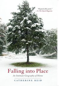 Produktbild: Falling into Place