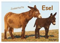 Produktbild: Zauberhafte Esel (Wandkalender 2026 DIN A3 quer), CALVENDO Monatskalender