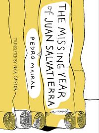Produktbild: The Missing Year of Juan Salvatierra
