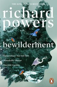 Produktbild: Bewilderment