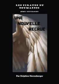 Produktbild: Les pirates du noumannsi