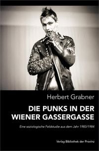 Produktbild: Die Punks in der Wiener Gassergasse
