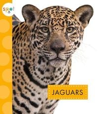 Produktbild: Jaguars