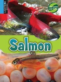 Produktbild: Salmon