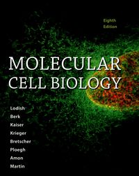 Produktbild: Molecular Cell Biology & Launc