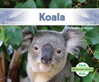 Produktbild: Koala