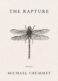 Produktbild: The Rapture
