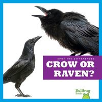 Produktbild: Crow or Raven?