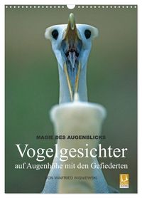 Bild vom Artikel Magie des Augenblicks - Vogelgesichter - auf Augenhöhe mit den Gefiederten (Wandkalender 2024 DIN A3 hoch), CALVENDO Monatskalender vom Autor Winfried Wisniewski