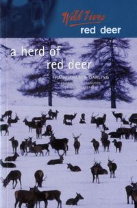 Produktbild: Herd Of Red Deer