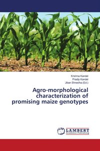 Produktbild: Agro-morphological characterization of promising maize genotypes
