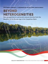Produktbild: Beyond heterogeneities
