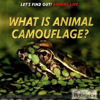 Produktbild: What Is Animal Camouflage?