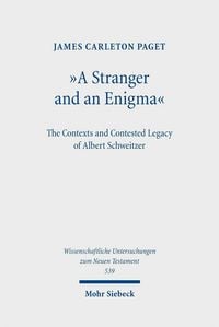 Produktbild: 'A Stranger and an Enigma'