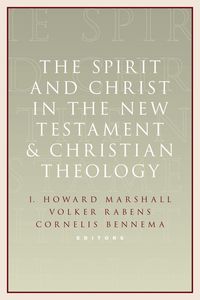Produktbild: The Spirit and Christ in the New Testament and Christian Theology