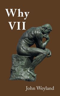 Produktbild: Why Vii