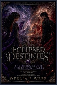 Produktbild: The Rising Storm and Broken Hearts