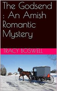 Produktbild: The Godsend : An Amish Romantic Mystery