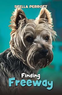 Produktbild: Finding Freeway