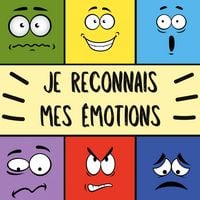 Produktbild: Je reconnais mes &eacute;motions
