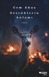 Produktbild: S&ouml;zc&uuml;klerin Anlami