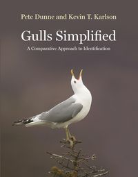 Produktbild: Gulls Simplified