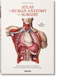Bild vom Artikel Bourgery. Atlas of Human Anatomy and Surgery vom Autor Henri Sick