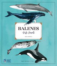 Produktbild: Balenes : vida secreta