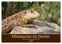 Produktbild: Minisaurier im Garten (Wandkalender 2027 DIN A2 quer), CALVENDO Monatskalender