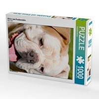 Produktbild: CALVENDO Puzzle Olivia vom Frankenstein | 1000 Teile Lege-Gr&ouml;&szlig;e 64x48cm Foto-Puzzle f&uuml;r gl&uuml;ckliche Stunden