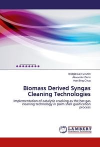 Produktbild: Biomass Derived Syngas Cleaning Technologies