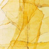 Produktbild: Central Park`s mosaics of reservoir,lake,pathway
