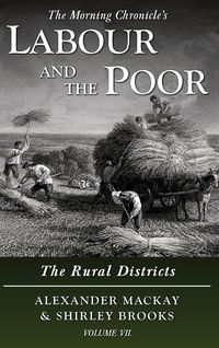 Produktbild: Labour and the Poor Volume VII