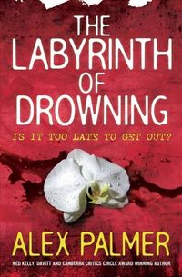 Produktbild: The Labyrinth of Drowning