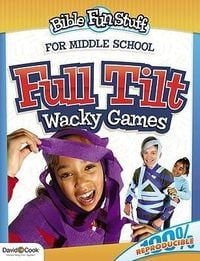 Bild vom Artikel Full Tilt Wacky Games vom Autor 