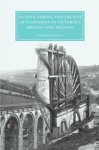 Produktbild: Fiction, Famine, and the Rise of Economics in Victorian Britain and Ireland