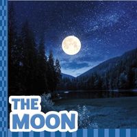 Produktbild: The Moon