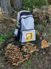 Produktbild: Ein Wandertag in der S&auml;chsischen Schweiz