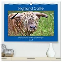 Produktbild: Highland Cattle, die Hochlandrinder aus Pfeffingen (hochwertiger Premium Wandkalender 2026 DIN A2 quer), Kunstdruck in Hochglanz