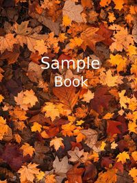 Produktbild: Sample book