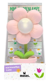 Produktbild: Mini-Blumenlampe Fr&uuml;hlingszauber