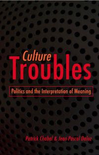 Produktbild: Chabal, P: Culture Troubles