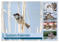 Produktbild: Spatzen-Kalender (Tischkalender 2027 DIN A5 quer), CALVENDO Monatskalender