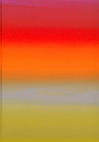 Produktbild: Raphael Hefti: Salutary Failures. Ediz. inglese e tedesca