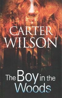 Produktbild: Wilson, C: Boy in the Woods