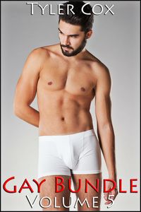 Produktbild: Gay Bundle - Volume 5