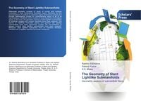 Produktbild: The Geometry of Slant Lightlike Submanifolds