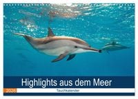 Produktbild: Highlights aus dem Meer - Tauchkalender (Wandkalender 2026 DIN A3 quer), CALVENDO Monatskalender