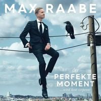 Bild vom Artikel Der perfekte Moment... wird heut verpennt vom Autor Max Raabe